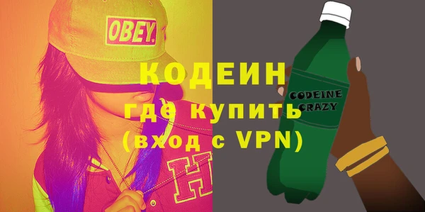 соль ск Пересвет