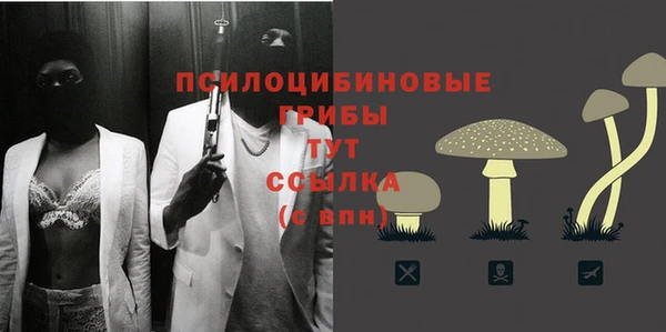 дурь Переславль-Залесский