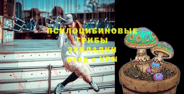 героин Данков