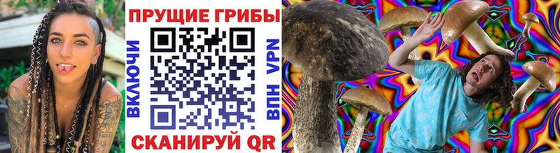 Псилоцибиновые грибы ЛСД  Покровск 
